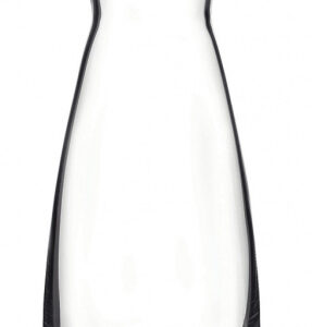 VRČ ZA VODO YPSILON 0,25L