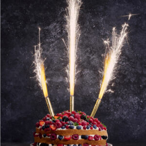 DRŽALO TORTNEGA OGNJEMETA 12/1